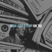 Wish I Could Stay artwork