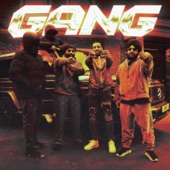 Gang (feat. Inderpal Moga) artwork