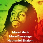Nathaniel Shalom - More Life & More Blessings