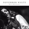 November Waltz (feat. Guy Mintus, Panagiotis Andreou, Engin Gunaydin & Tigran Sargsyan) - Single album lyrics, reviews, download