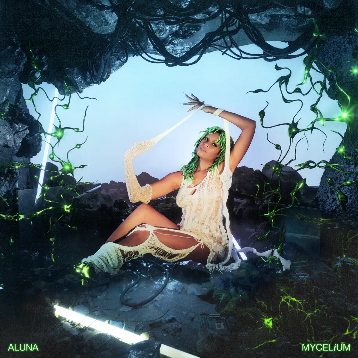 Aluna - MYCELiUM (2023) [iTunes Plus AAC M4A]-新房子