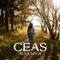 Ceas - Alex Mica lyrics