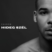 Hideg szél artwork