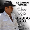 Jalando caña - Single