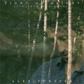 Fight or Flight (Live from the Forest) artwork