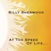 At the Speed of Life album lyrics, reviews, download