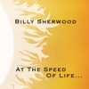 Billy Sherwood - Seeing Through the Walls