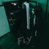 FLY - Single