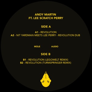 Revolution (feat. Lee Scratch Perry) - EP