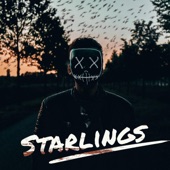 Starlings artwork