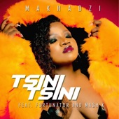 Tsini Tsini (feat. Fortunator & Mash K) artwork