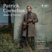 Patrick Cornelius - Puzzle Box