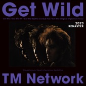 Get Wild 2023 REMASTER - EP artwork