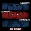 She Knows (feat. Fireboy DML & Olamide) - Single