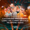 Canarinho Prisioneiro, Loira do Carro Branco, Telefone Mudo (Cover) [feat. Jefferson Rocha & Alisson e Alex] - Single