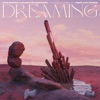 Dreaming (feat. Lily Papas) - Single
