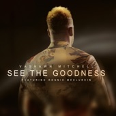 See the Goodness (feat. Donnie McClurkin) artwork