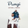 Pumzi (feat. Young Lunya) - Single