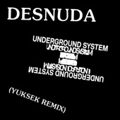 Underground System - Desnuda