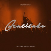 Brandon Lake - Gratitude (Live)