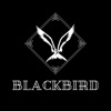 BlackBird1 - EP