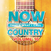 NOW That's What I Call Country Vol. 16 - Various Artists song art