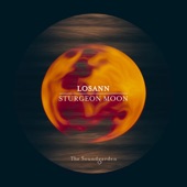Sturgeon Moon (Stan Kolev Remix) artwork