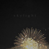 Sleepy Gonzales - Skylight