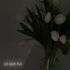 Lo Que Fui - Single