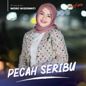 Peca Seribu artwork