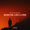 Burn Me Like a Fire - Single