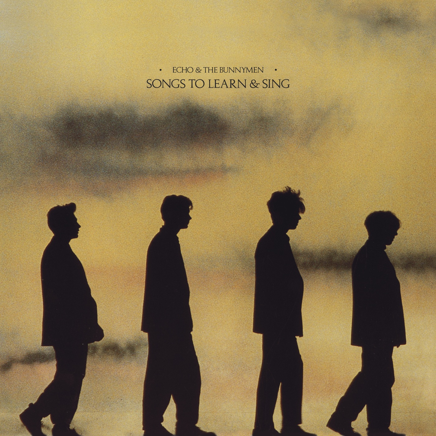 Songs to Learn & Sing by Echo & the Bunnymen