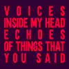 Voices (Extended Mix) - Single album lyrics, reviews, download