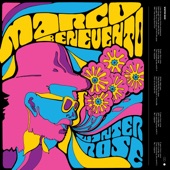 Marco Benevento - Winter Rose