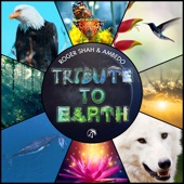 Tribute to Earth artwork