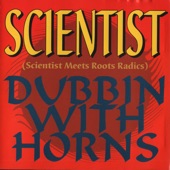Scientist Meets Roots Radics Dubbin with Horns artwork