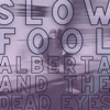 Slow Fool - Single