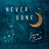 Never Gone - Single