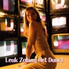 Leuk Zolang Het Duurt - Single