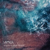 Vetica - Singularity