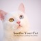Zzz's - Cats Music Zone, Cat & Calm & Cat Music Relaxation lyrics