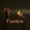 Passion (feat. Mitch Darrell) - BRB Music lyrics