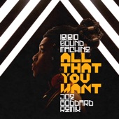 All That You Want (Joe Goddard Remix) artwork
