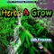 Herbs a Grow artwork