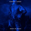 Birds In Space - Single