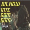 Inte som dom by Bilkow iTunes Track 1