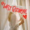 Last Goodbye - Single
