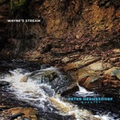 Wayne's Stream - Single