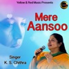 Mere Aansoo - Single