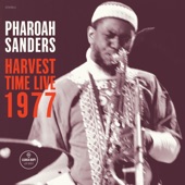 Pharoah Sanders - Harvest Time (Willisau ~ Live)